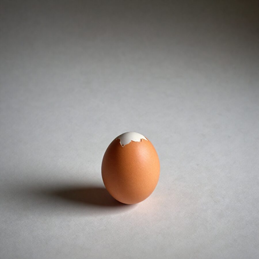 Fertilização do Óvulo: Processo Detalhado e Sinais de Sucesso